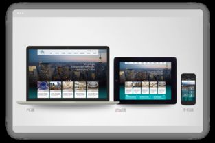 手機(jī)版網(wǎng)站制作 wap網(wǎng)站設(shè)計(jì) 響應(yīng)式網(wǎng)站制作 h5官網(wǎng)制作 盛世陽(yáng)光